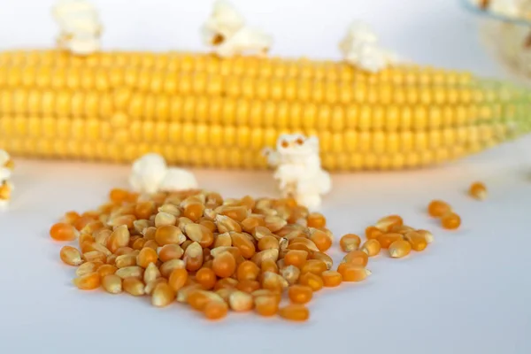 yellow corn and white popcorn on white background. grain of corn.