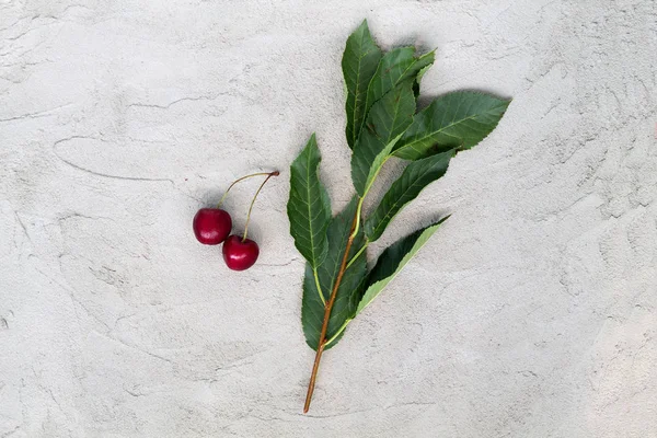 Cerises Rouges Sur Une Branche Avec Des Feuilles Vertes Sur — Photo