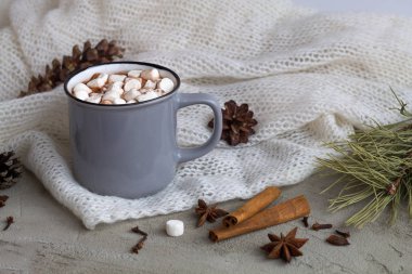 Kış ve sonbahar sıcak içecekleri. Kış dekorasyonu. Bir fincan sıcak kakao ya da kremalı çikolata ve beyaz arka planda anasonlu tarçın..