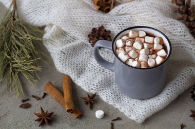 Kış dekorasyonu. Bir fincan sıcak kakao ya da marşmelovlu çikolata ve gri arka planda anasonlu tarçın. Üst Manzara. kopyalama alanı. Kış ve sonbahar sıcak içecekleri. 