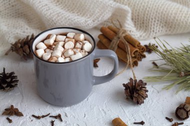 Kış ve sonbahar sıcak içecekleri. Gri fincan sıcak kakao ya da kremalı çikolata ve örgü beyaz ekose, tarçın, anason yıldızı, çam kozalağı ve beyaz arka planda yeşil ladin dalı. kopyalama alanı. kış süslemesi