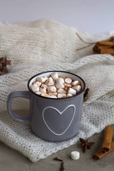 Grey cup of hot cocoa or chocolate with marshmallow and cinnamon with anise star on white background. winter and autumn hot drinks. winter decoration.