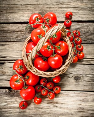 Olgun domates bir sepet içinde. Ahşap bir arka plan üzerinde.