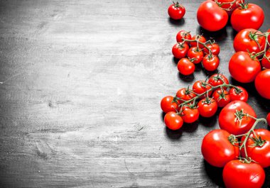 Taze olgun domates. Siyah arka plan üzerine