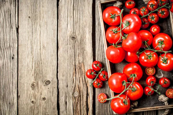 Taze domates içinde ahşap tepsi. Ahşap bir arka plan üzerinde.