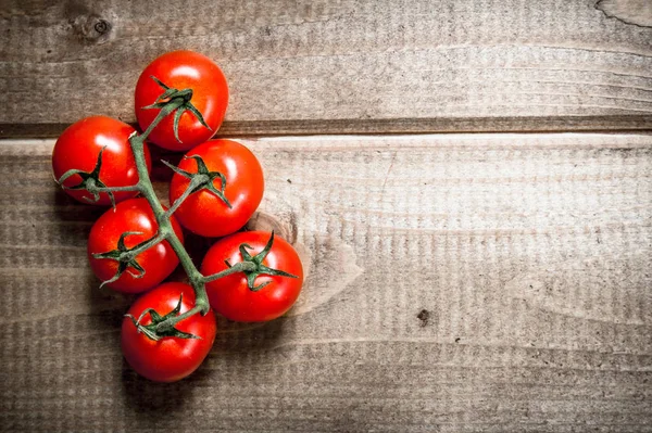 신선한 토마토입니다 — 스톡 사진