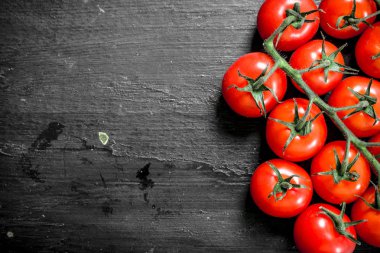 Taze olgun domates. Siyah arka plan üzerine