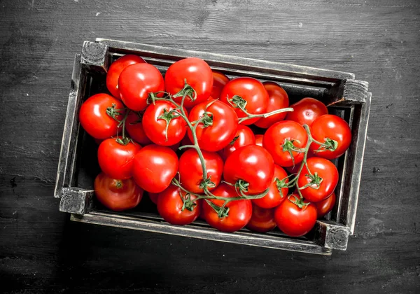 Tomates Fraîches Dans Une Boîte Sur Fond Noir — Photo