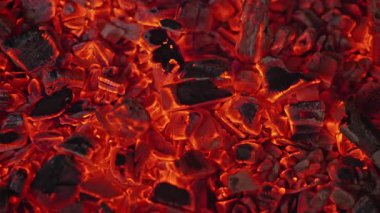 Parlayan közlerin yavaş çekimleri. Yüksek kalite 4k görüntü