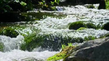 Bir dağ nehri yakından çekilmiş. Yüksek kalite 4k görüntü