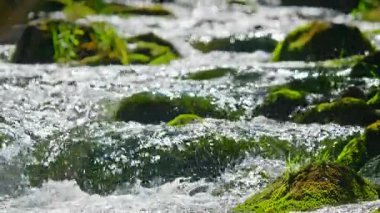Bir dağ nehri yakından çekilmiş. Yüksek kalite 4k görüntü