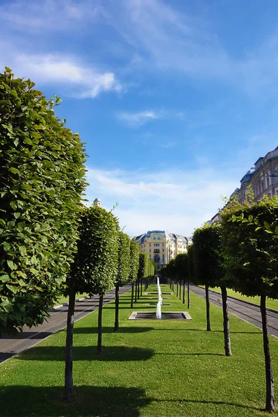 Ağaç esplanade Budapeşte Macaristan                               