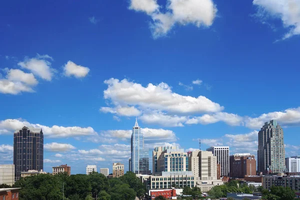 Uitzicht Skyline Het Centrum Van Raleigh North Carolina — Stockfoto