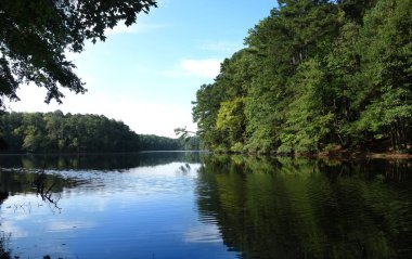 Göl Johnson, Raleigh, NC popüler şehir parkı görünümünü