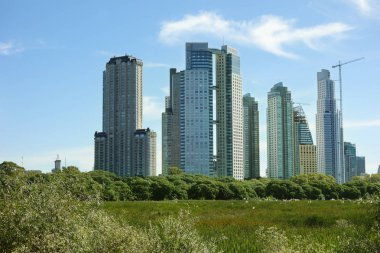 Yeşil park alanı ön planda olan Buenos Aires manzarası                               