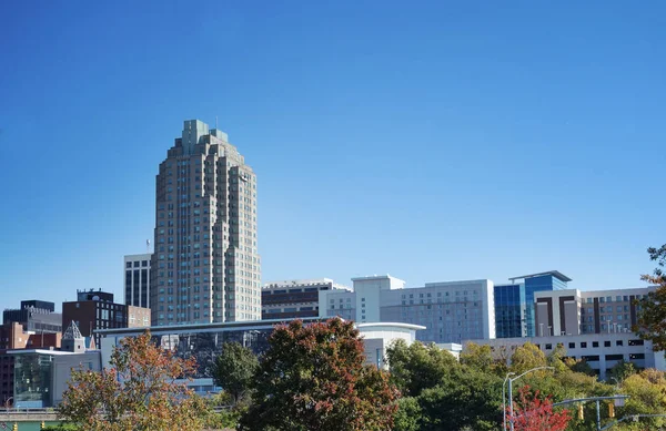 Weergave Van Het Centrum Van Raleigh Met Herfst Bladeren — Stockfoto