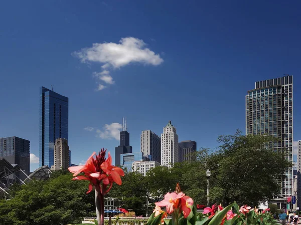 Центр Чикаго Цветами Зеленью Переднем Плане — стоковое фото