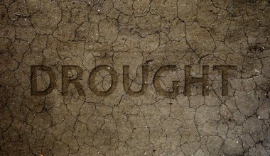 Kuraklık kırık kir