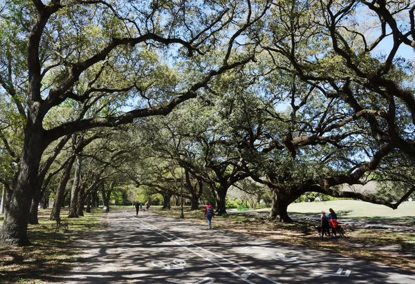 Audubon Park a New Orleans — Foto Stock