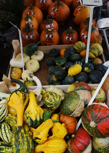 Bauernmarkt-Kürbis — Stockfoto