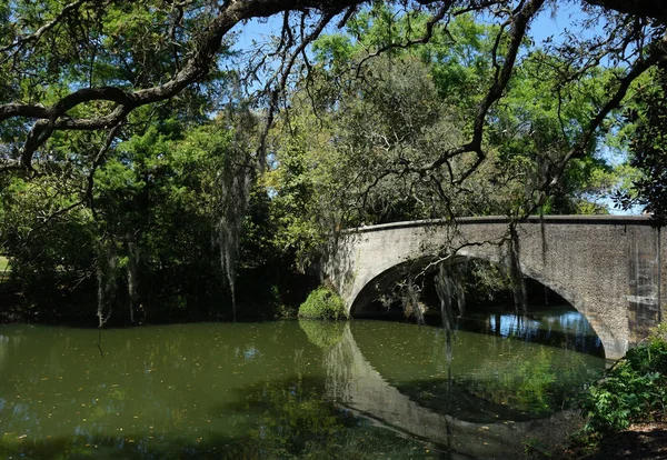 Un ponte a Audubon Park New Orleans — Foto Stock