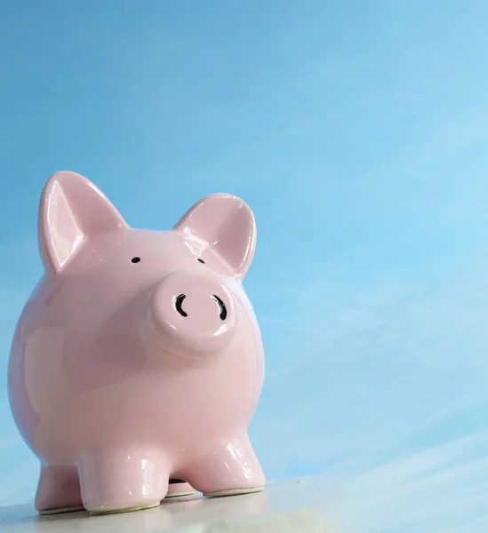Piggy banco no fundo azul em branco — Fotografia de Stock
