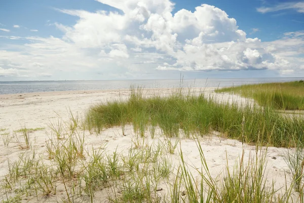 Pamlico Sound beach of the North Carolina Outer Banks — Stock Photo, Image