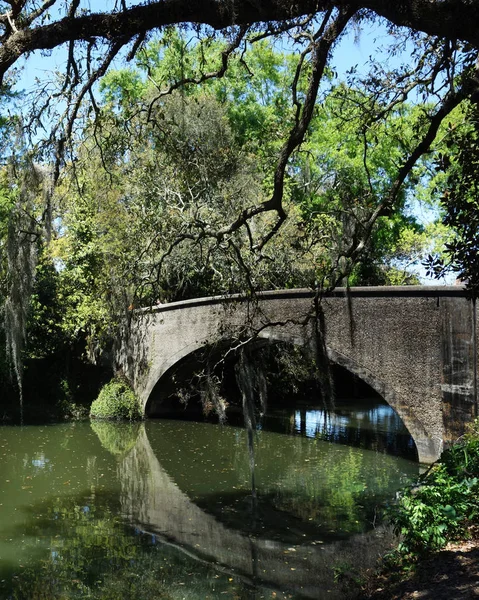 Audubon Park — Foto Stock