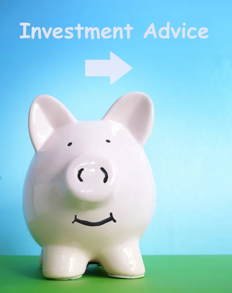 Consultoria de investimento Piggy Bank — Fotografia de Stock