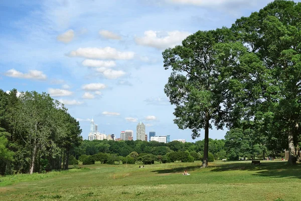 Vista Dello Skyline Del Centro Raleigh North Carolina Dal Parco — Foto Stock