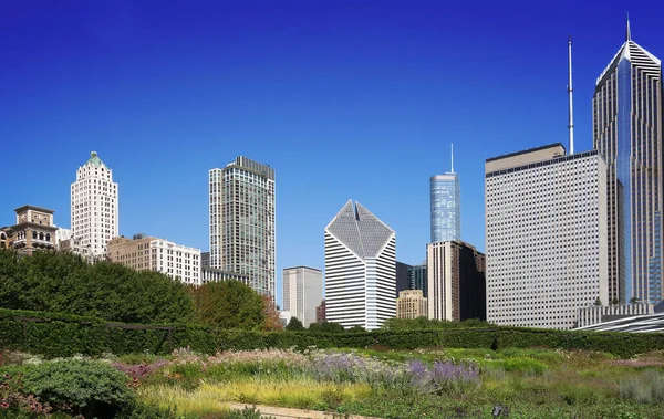 Вид Центр Чикаго Парка Millennium — стоковое фото