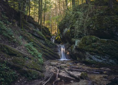 Tatlı su creek Piatra Mare dağ, Timisul de Jos, Brasov İlçesi, Transilvanya bölgesinde, Romanya yedi merdiven kanyonda büyük yosunlu kayalar arasında akan doğal manzaralı.