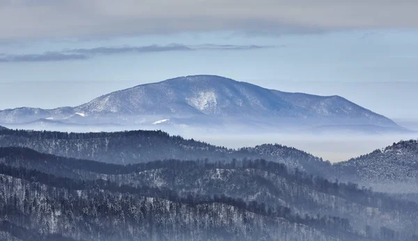 Paesaggio Invernale Mattutino Con Foreste Conifere Innevate Valli Nebbiose Vicino — Foto Stock