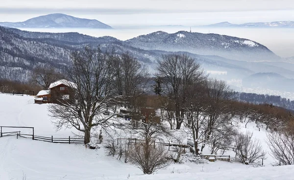 Brasov City Romanya Yakınındaki Dağlarda Kış Gri Sabah Peyzaj Kadar — Stok fotoğraf