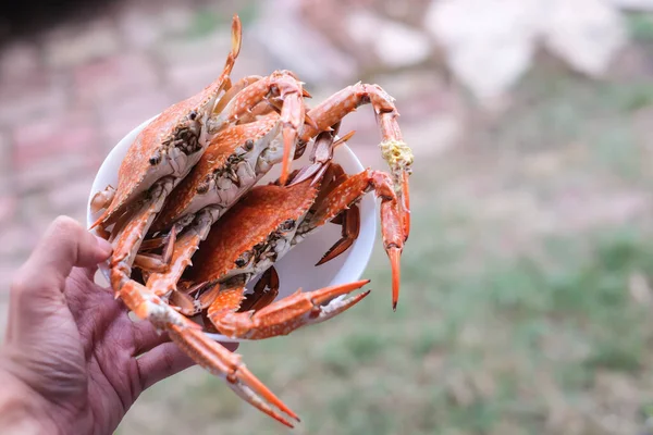 Die Gedämpften Krabben Krallen Servieren Auf Weißem Teller Hausgemachtes Speisenkonzept — Stockfoto
