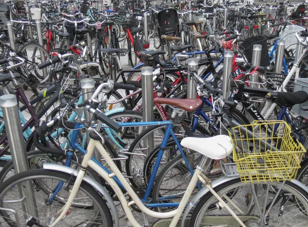 Koppenhága Dánia Augusztus 2017 Aka Kerékpárok Vagy Ciklus Kerékpárok — Stock Fotó