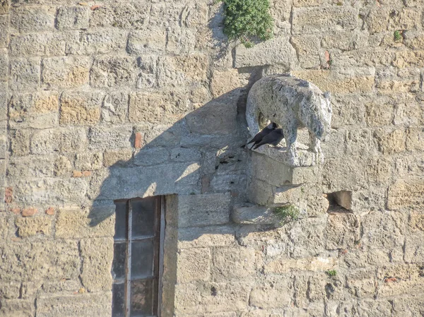 Volterra Ciudad Medieval Italiana Vista Del Centro Ciudad — Foto de Stock