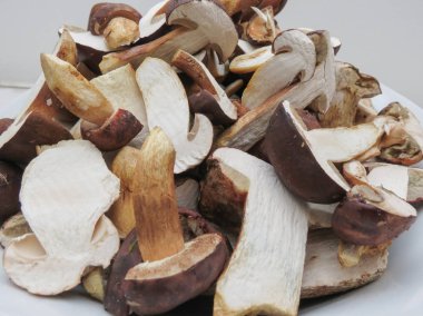 siyah porcini (boletus aereus) aka bronz bolete veya karanlık cep ve Neoboletus luridiformis veya Suillellus luridus (eski adıyla çörek luridus) aka korkunç bolete mantar yemek