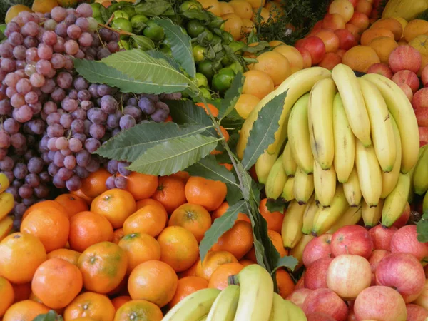 Diferentes Tipos Frutas Mostrador Mercado Útil Como Fondo — Foto de Stock