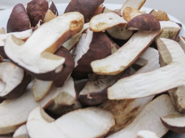 siyah porcini (boletus aereus) aka bronz bolete veya karanlık cep ve Neoboletus luridiformis veya Suillellus luridus (eski adıyla çörek luridus) aka korkunç bolete mantar yemek