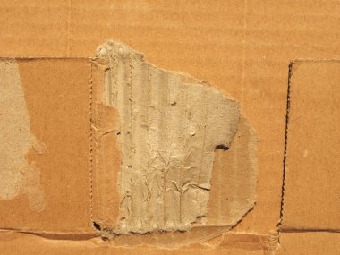arkaplan olarak kullanışlı bej kıvrımlı karton desen