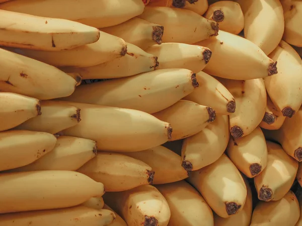 Pisang Kuning Musa Acuminata Balbisiana Paradisiaca Adalah Makanan Vegetarian — Stok Foto