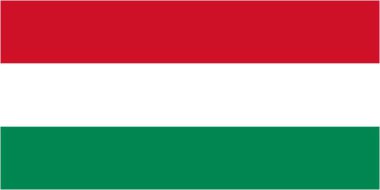 Macaristan bayrağı ve dil simgesi - izole vektör çizim