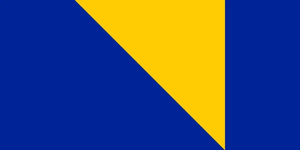ボスニア ヘルツェゴビナ 分離ベクトル図の旗 — ストックベクタ