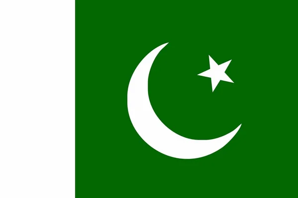 Drapeau Pakistanais Icône Langue Illustration Vectorielle Isolée — Image vectorielle