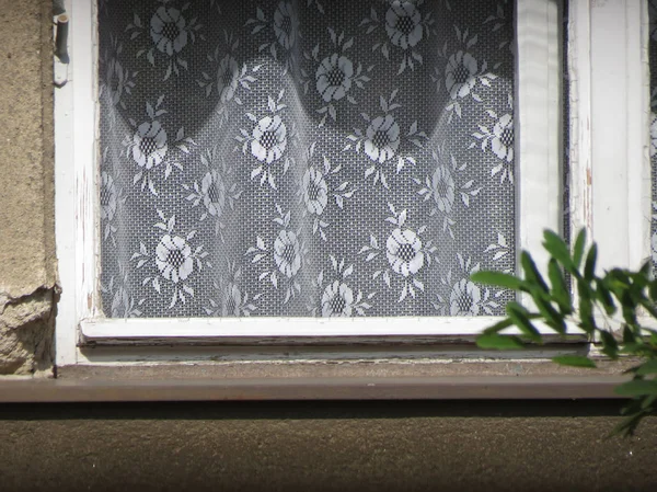 Bílá Květinová Krajka Opona Zavěšený Okně — Stock fotografie