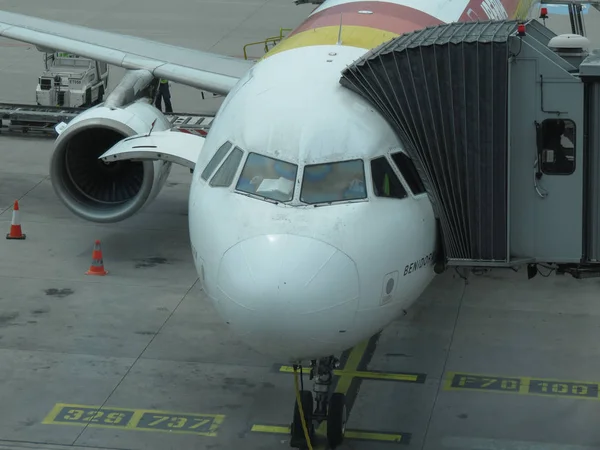 Iberia Airbus A321 zaparkowany w Pradze — Zdjęcie stockowe