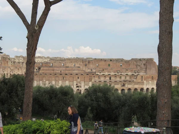 Colosseum in rome — Stockfoto