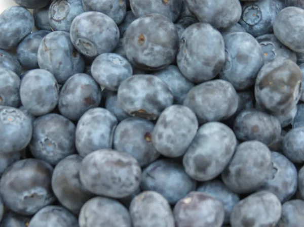 Blåbär frukt mat — Stockfoto