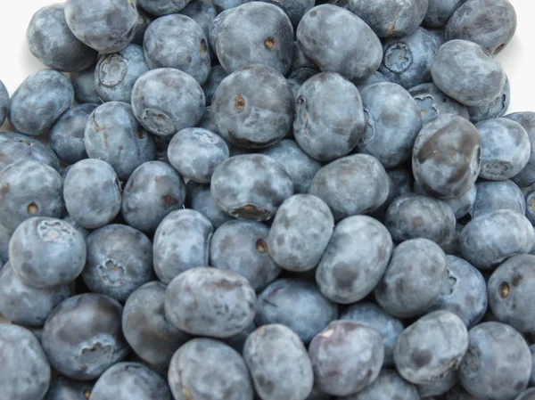 Blåbär frukt mat — Stockfoto